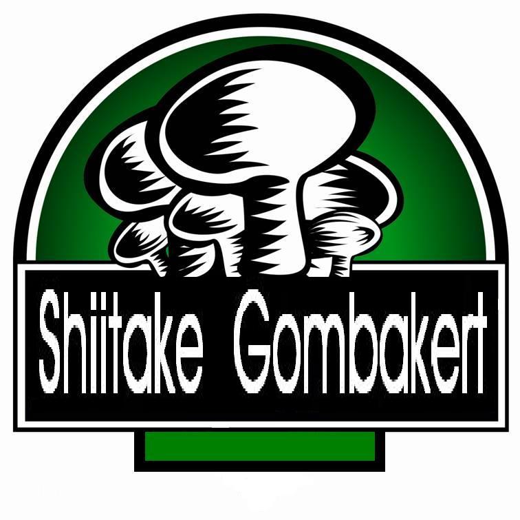 shiitake gombakert.hu